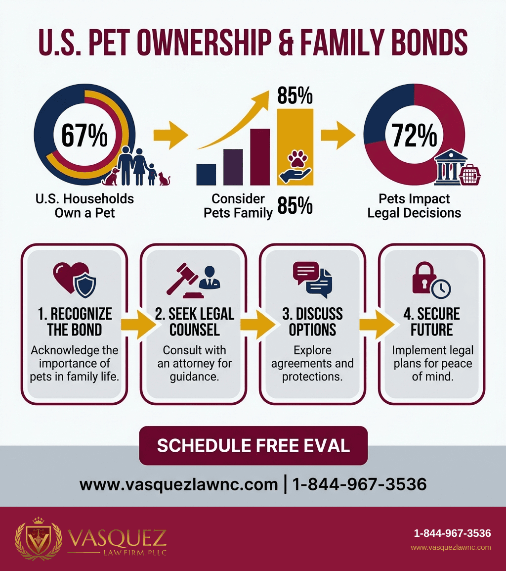 Visual Guide 2 for How Divorce and Pets Are Handled in Charlotte in 2026