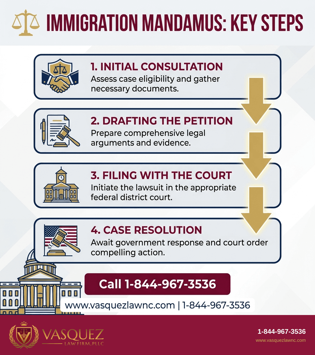 Visual Guide 1 for What Is Mandamus and How It Works in Immigration in 2026