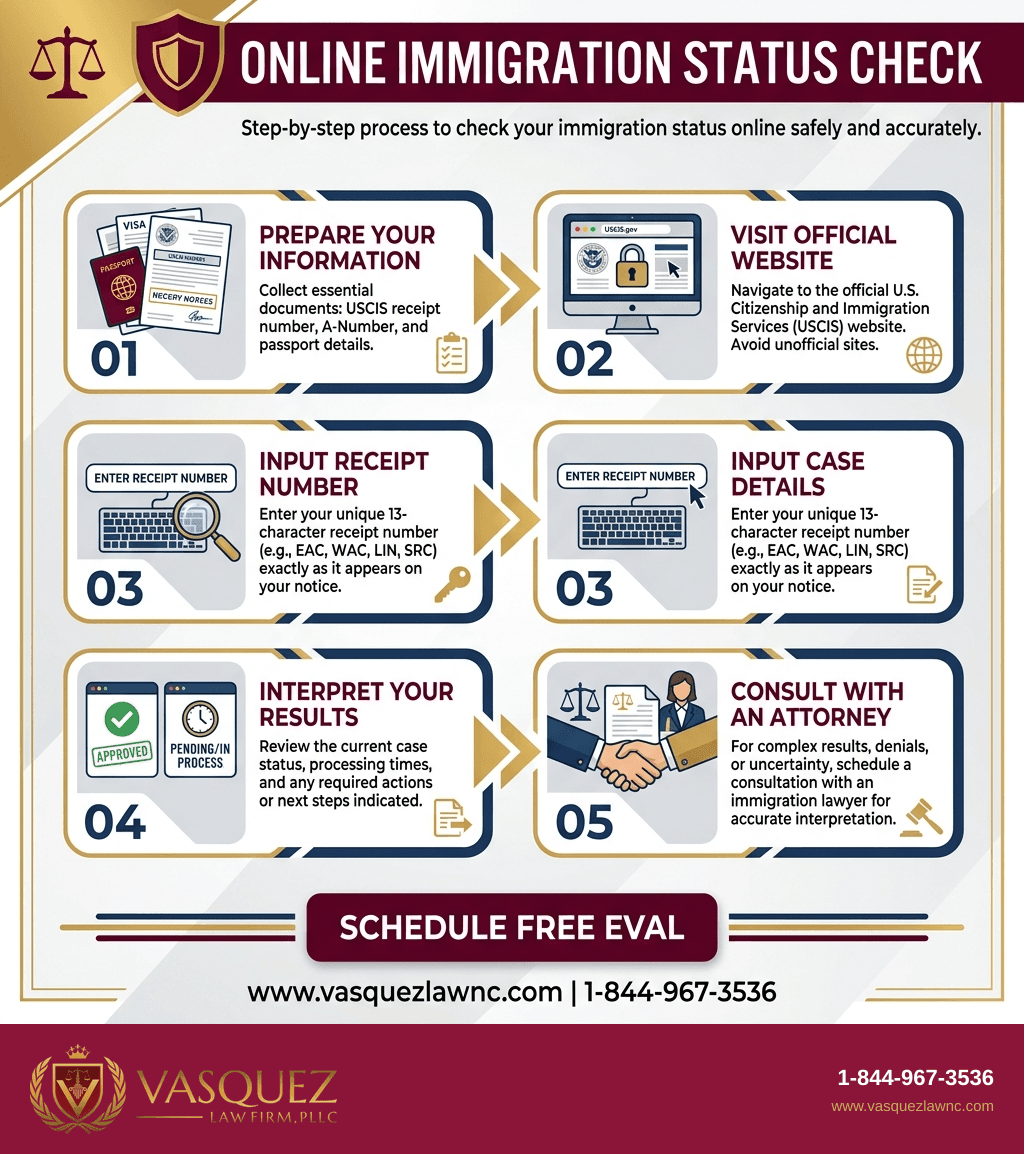 Visual Guide 1 for What Is Immigration Status and How to Check It in 2026