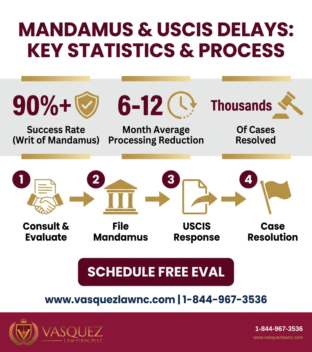 Visual Guide 2 for What Is Mandamus and How It Works in Immigration in 2026