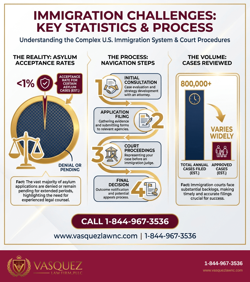 Visual Guide 2 for What You Should Know About Supreme Court Immigration Cases in 2026