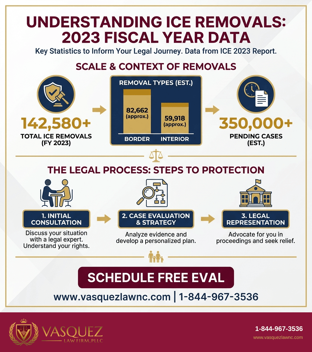 Visual Guide 2 for Deportation: How It Happens and Steps to Protect You in 2026